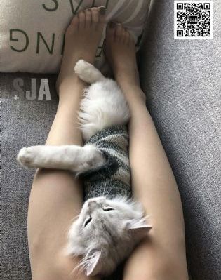 久久er99热这里只有精品_1080动漫免费观看