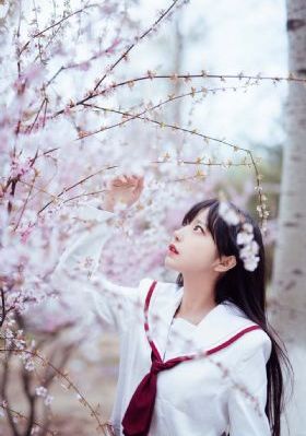 蜜桃网站在线看_BD韩语迅雷电影在线